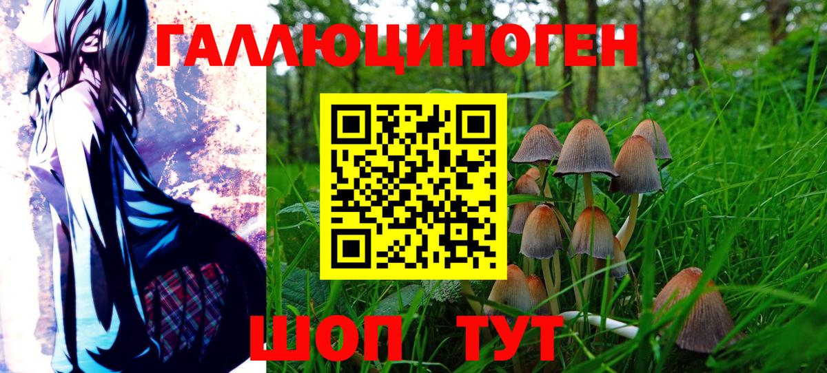 Новозыбков  Псилоцибиновые грибы Psilocybe  купить   Вход с VPN 