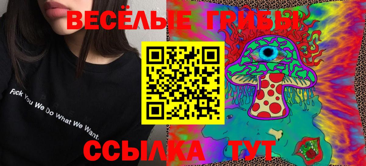 Галлюциногенные грибы прущие грибы Новозыбков