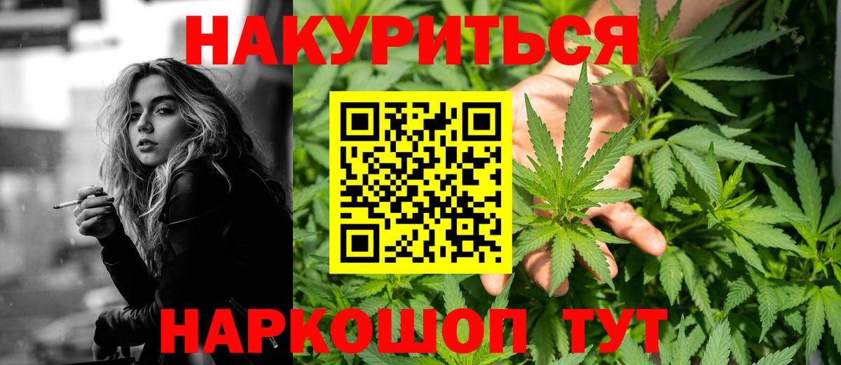 Новозыбков  Шишки марихуана марихуана  Марихуана сатива  Вход с VPN 